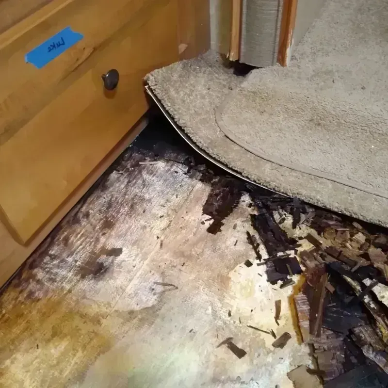 Best Wood Floor Water Damage Service in South Suffolk, VA